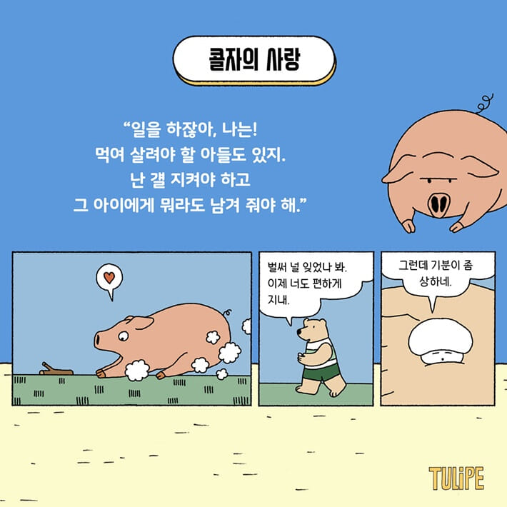 카드뉴스6