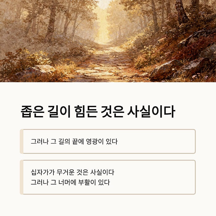 카드뉴스7