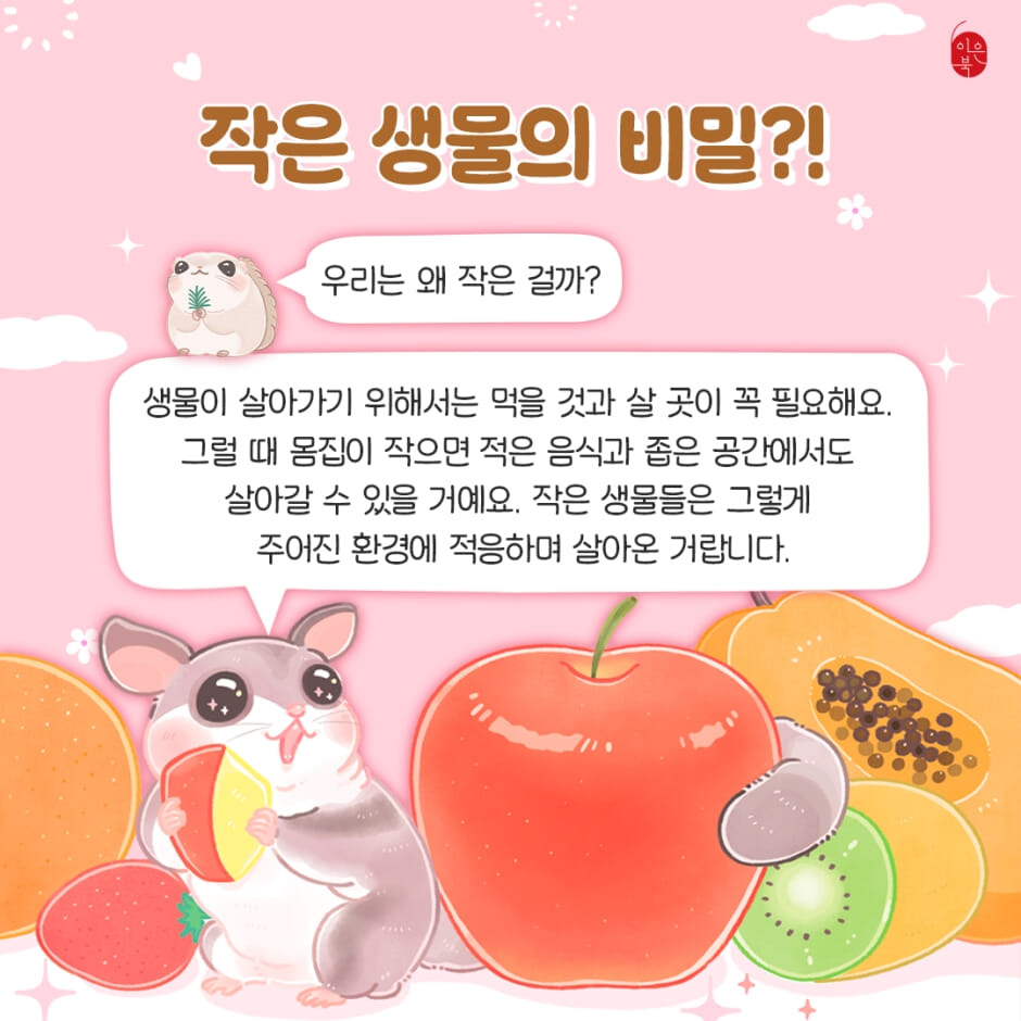 카드뉴스3