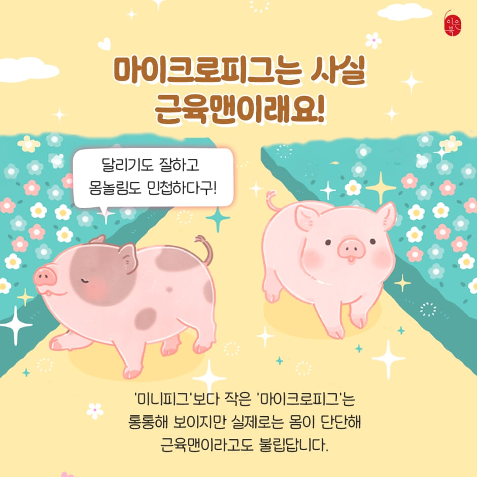 카드뉴스4