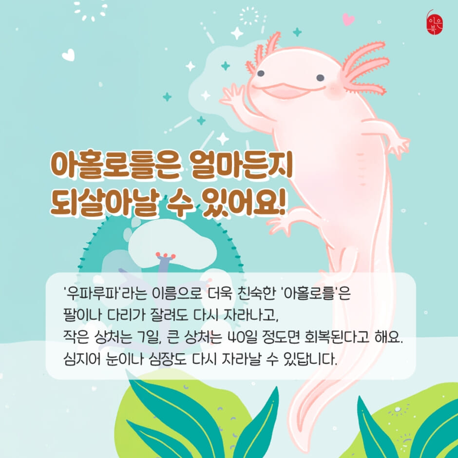 카드뉴스5