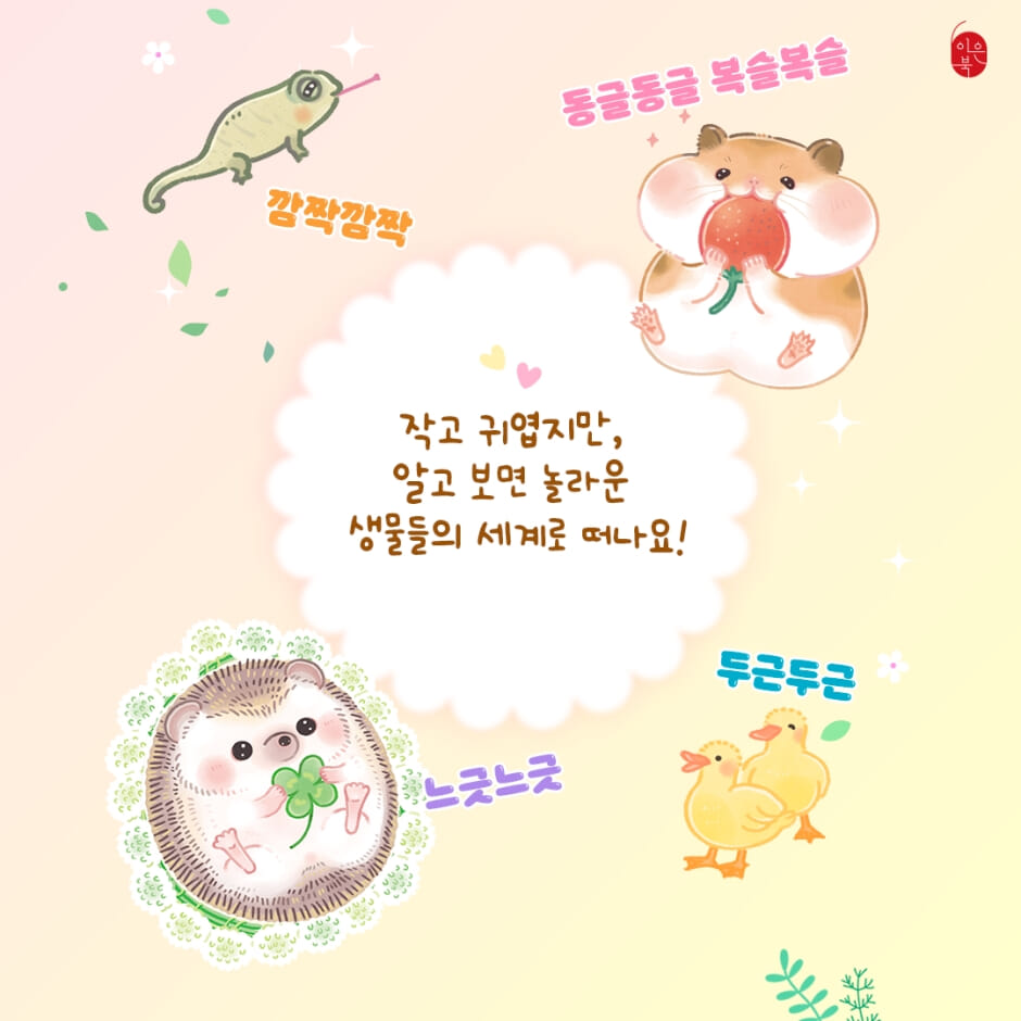 카드뉴스7