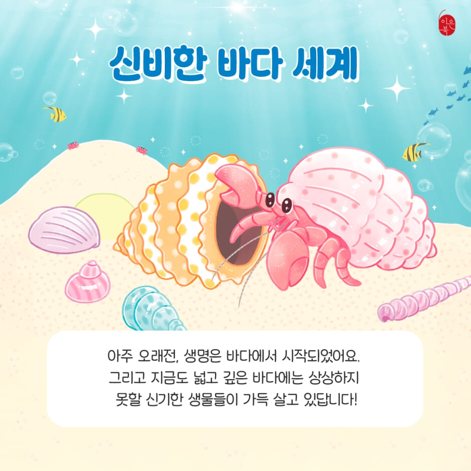 카드뉴스3