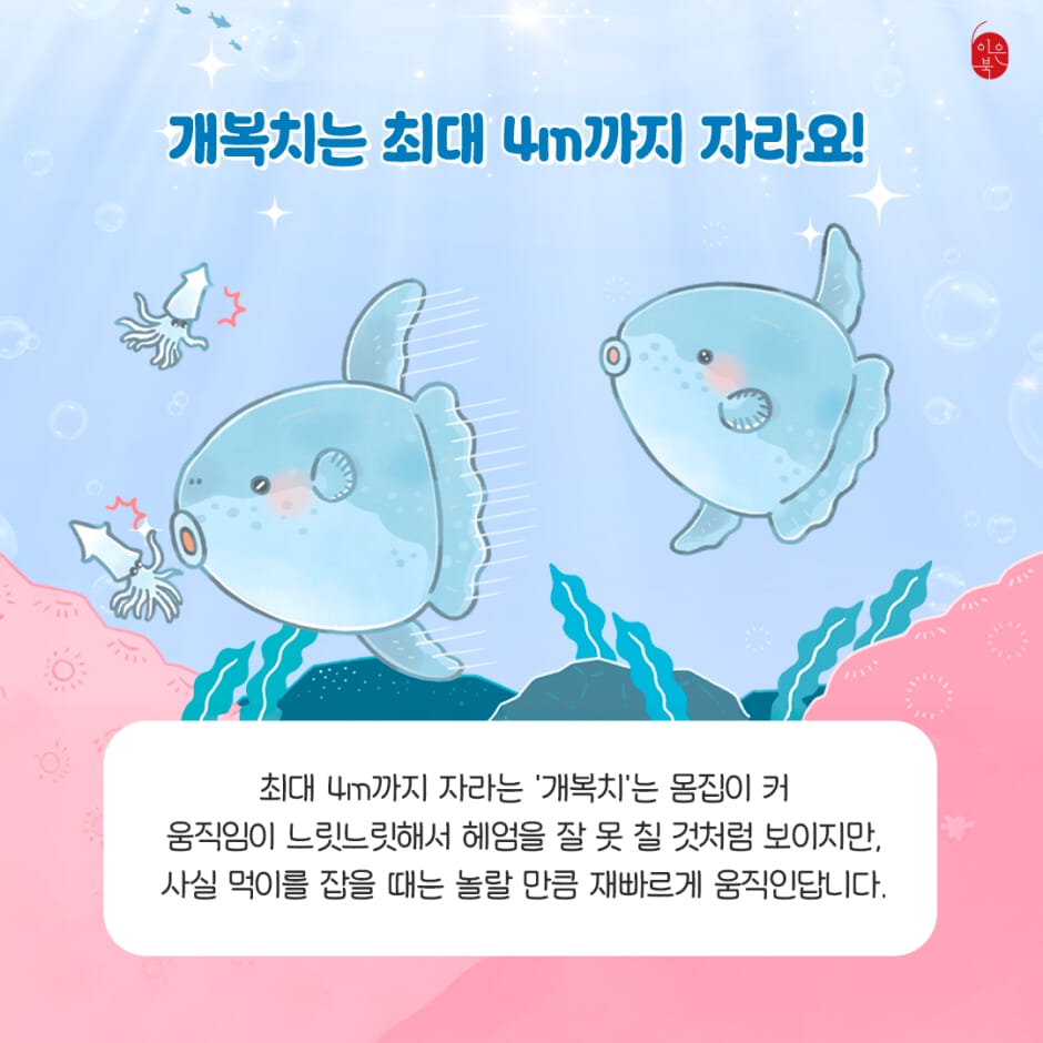 카드뉴스4