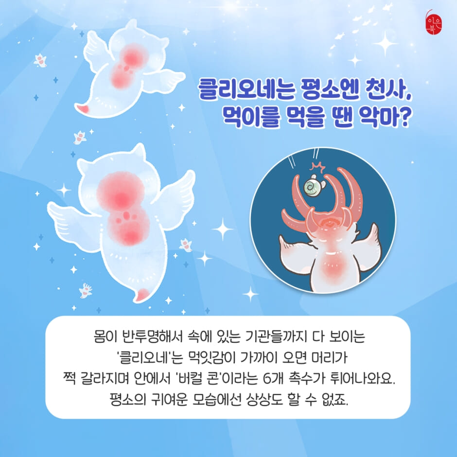 카드뉴스5