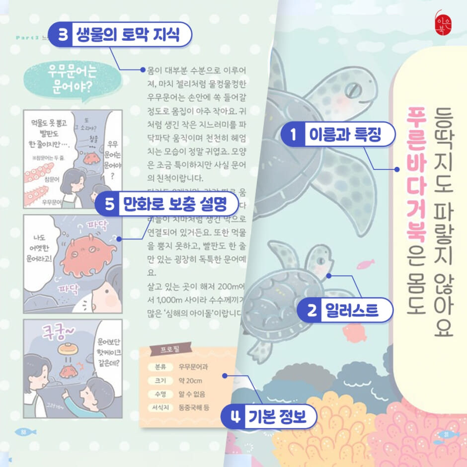 카드뉴스6