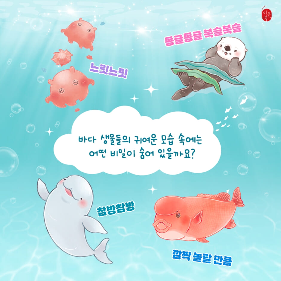 카드뉴스7
