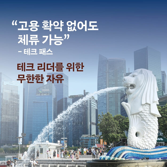 카드뉴스7