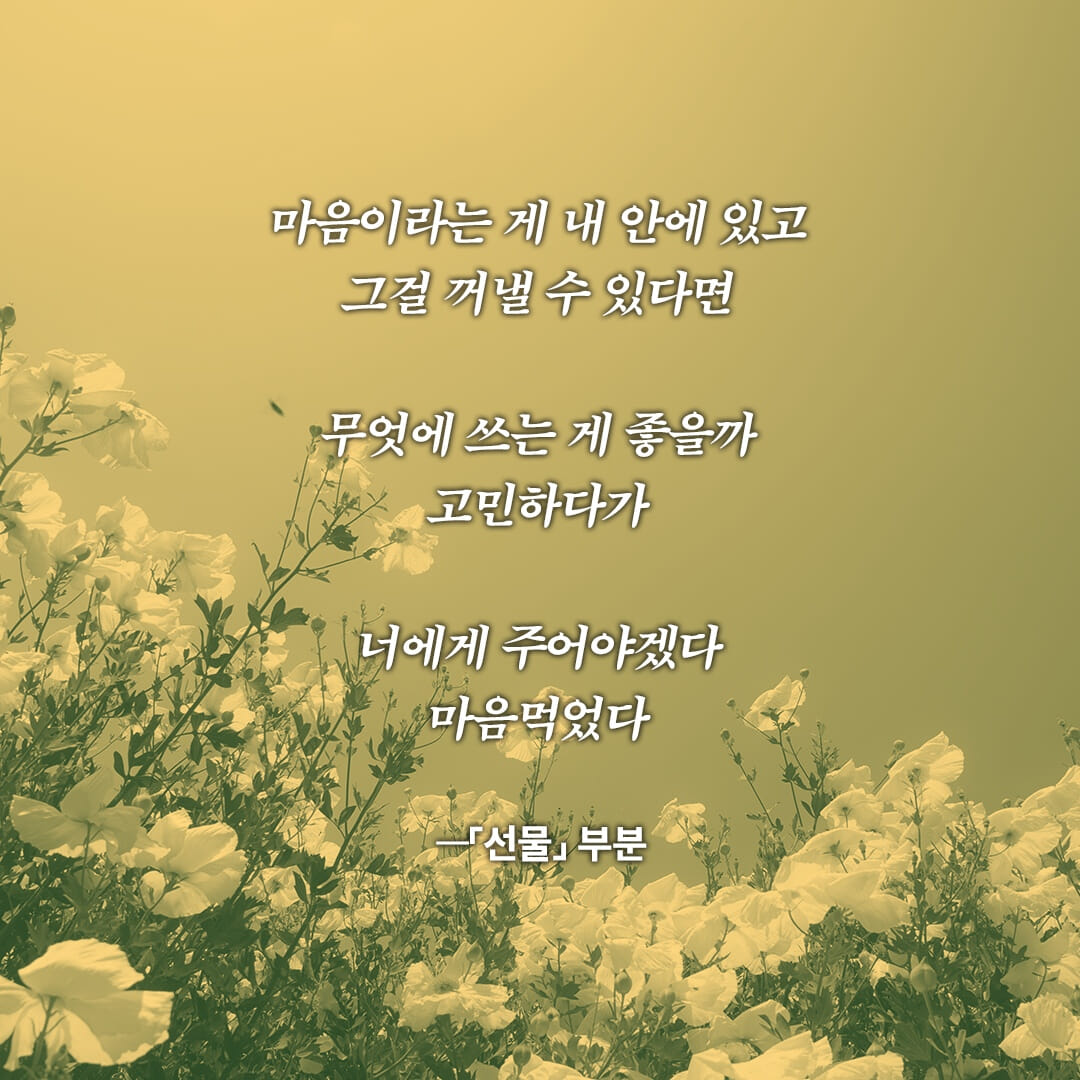 카드뉴스1