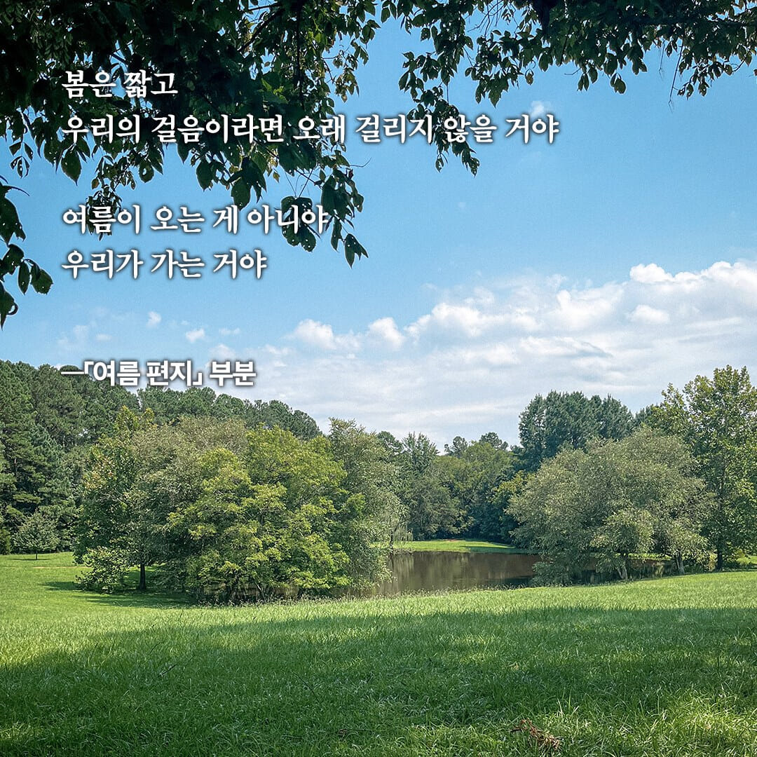 카드뉴스3