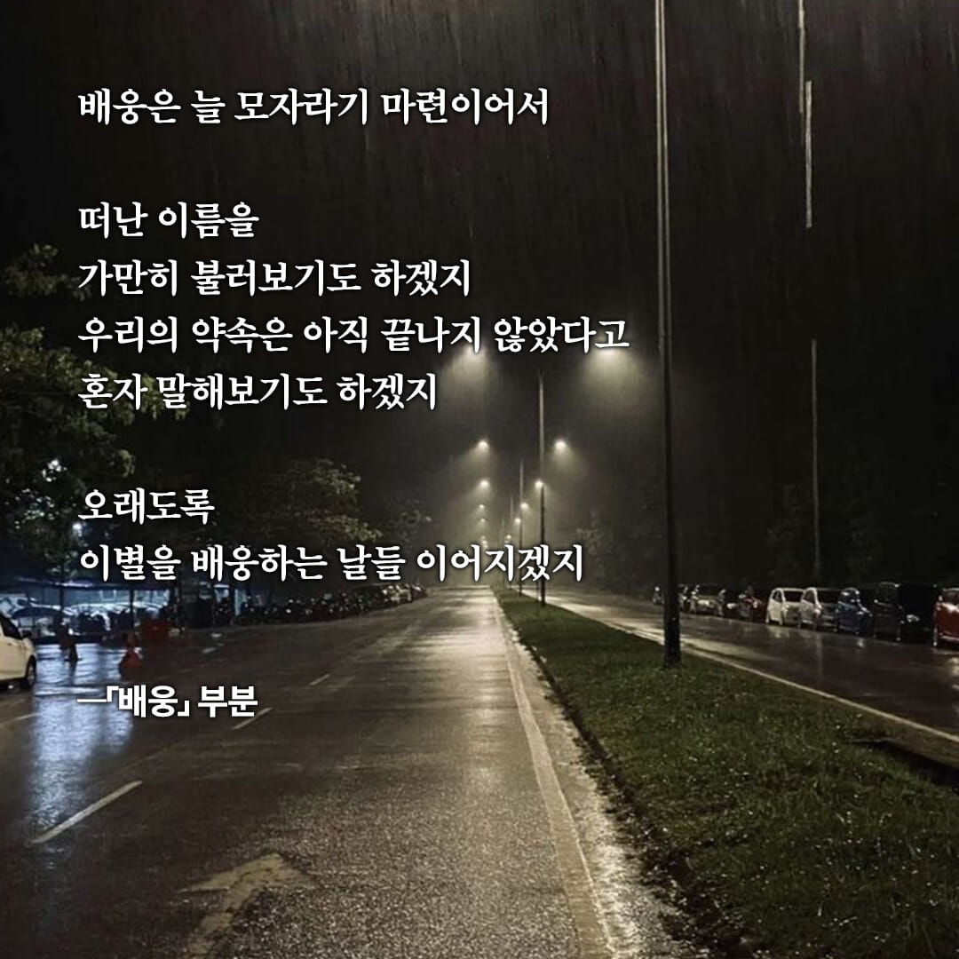 카드뉴스5