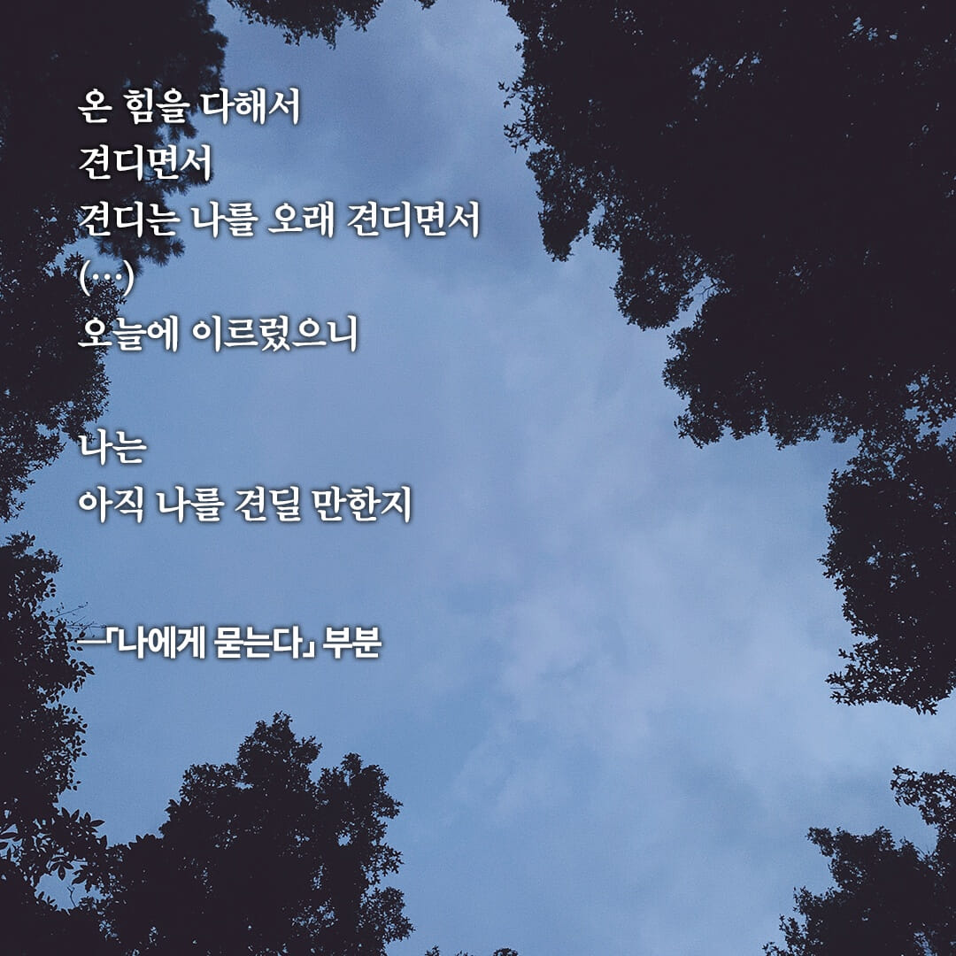 카드뉴스6