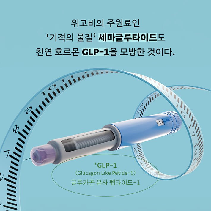 카드뉴스6