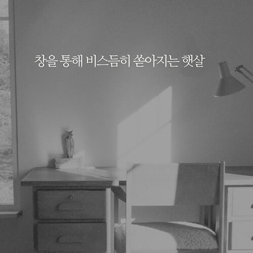 카드뉴스2