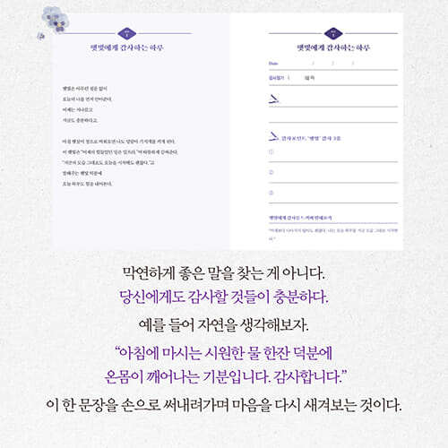 카드뉴스6