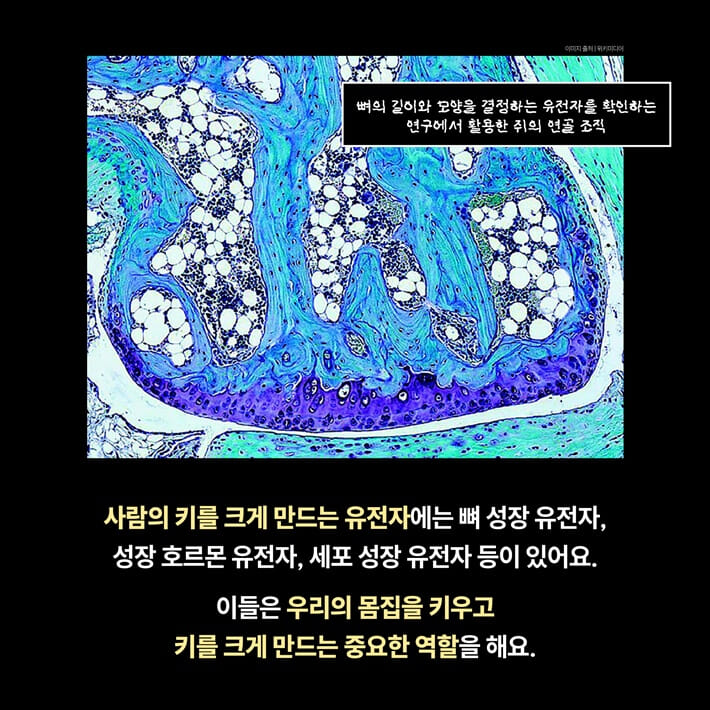 카드뉴스2