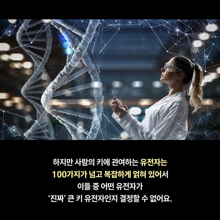 카드뉴스3