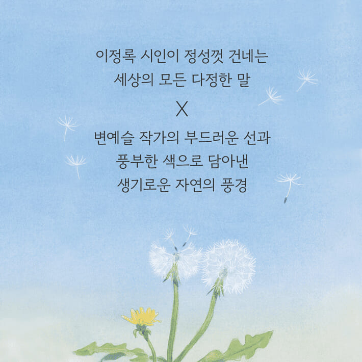 카드뉴스5