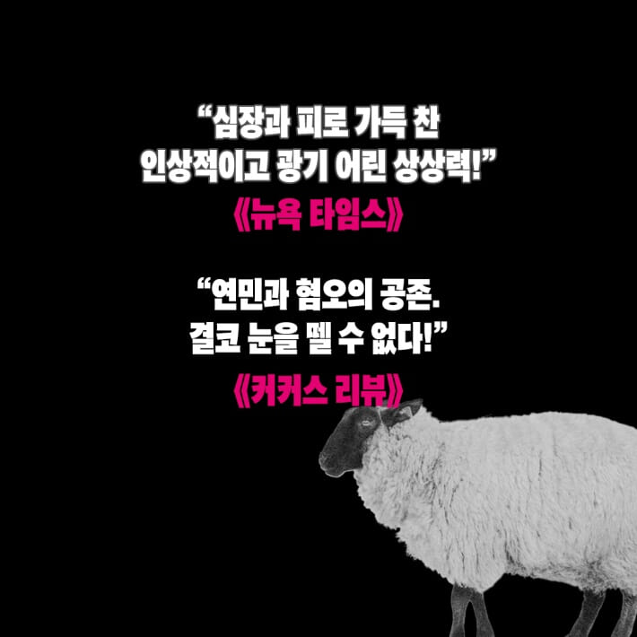 카드뉴스3