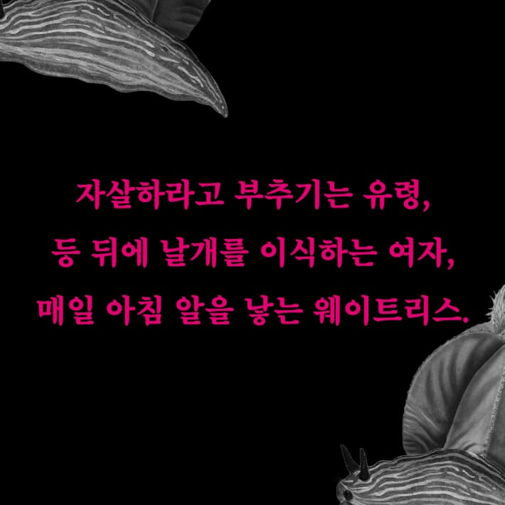 카드뉴스6