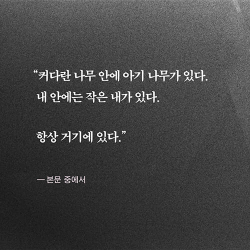 카드뉴스8