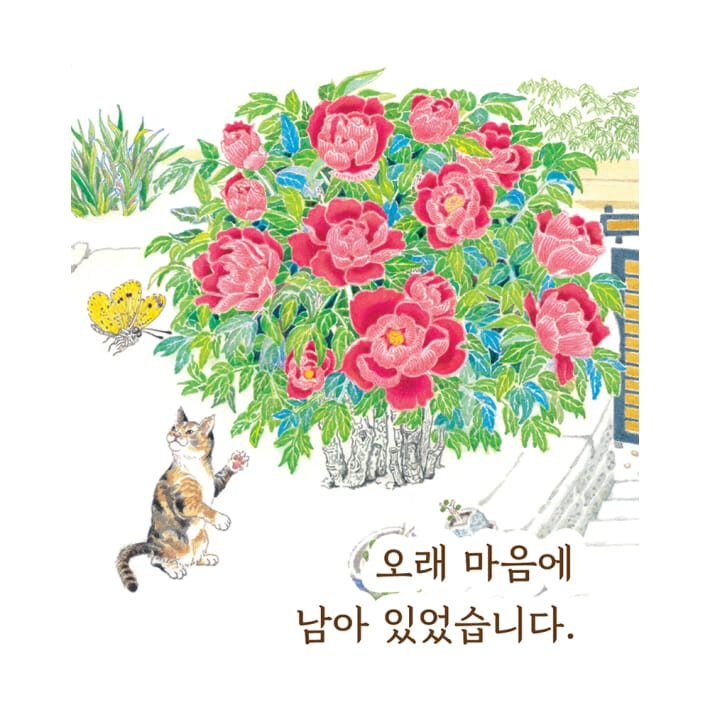 카드뉴스6