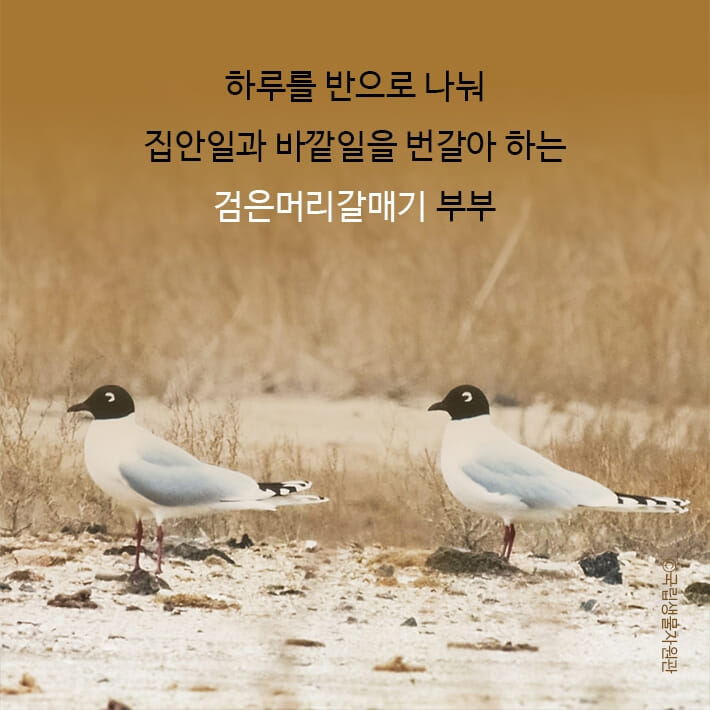 카드뉴스9