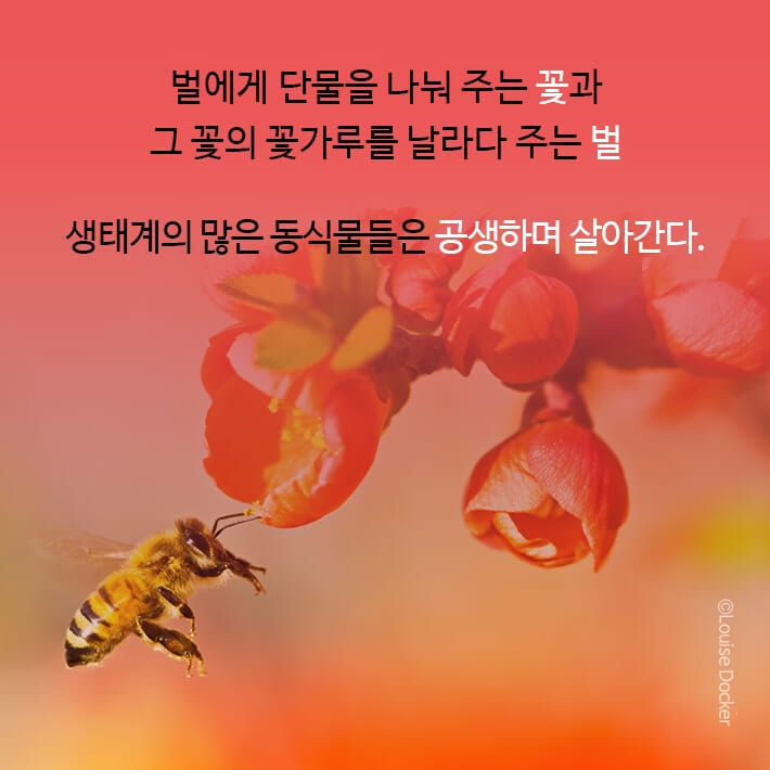 카드뉴스10