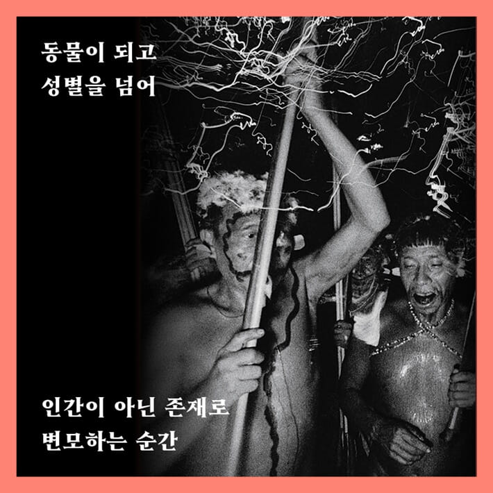 카드뉴스5