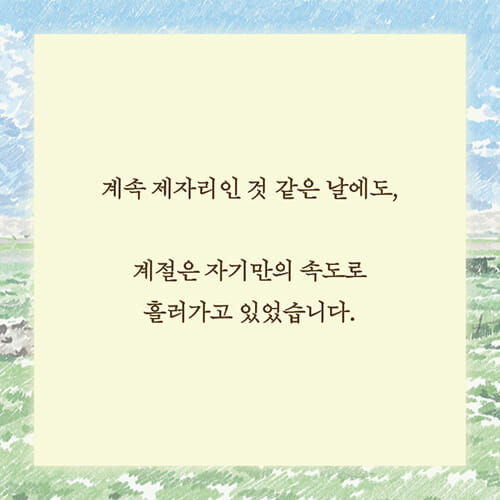 카드뉴스2