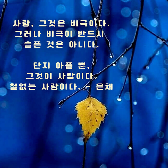 카드뉴스1