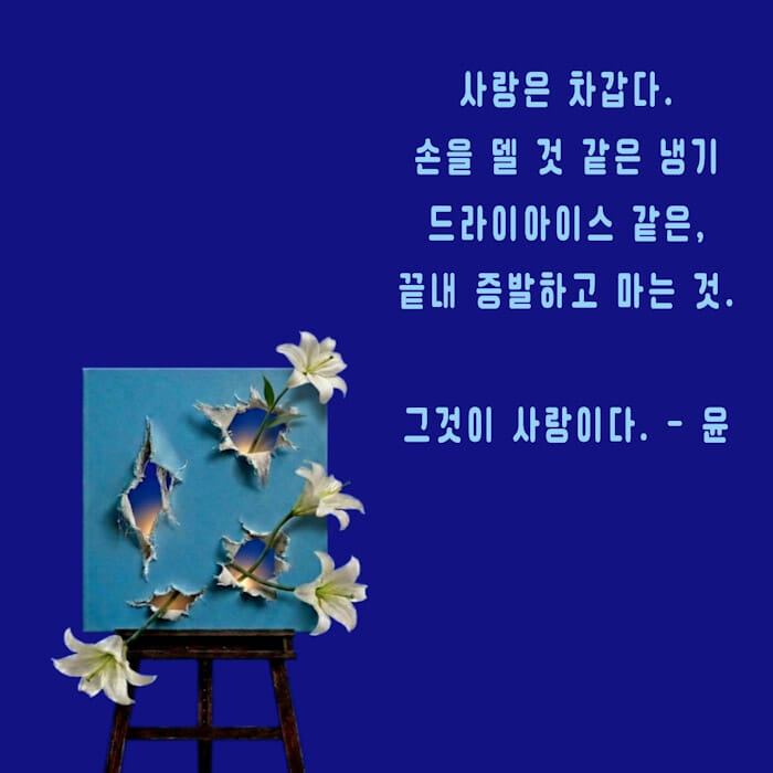 카드뉴스2