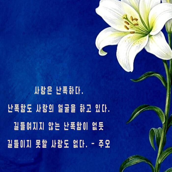 카드뉴스4