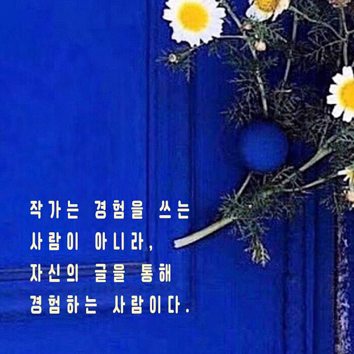 카드뉴스6