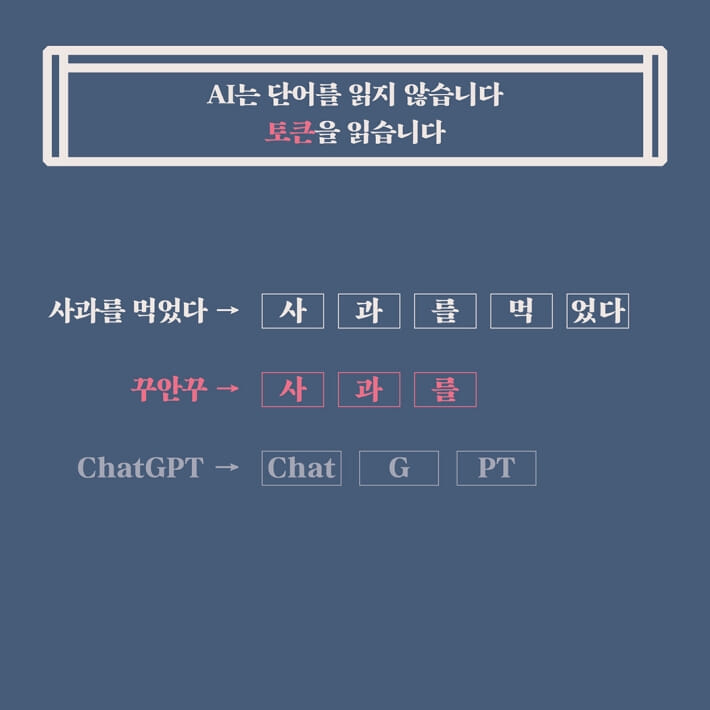 카드뉴스5