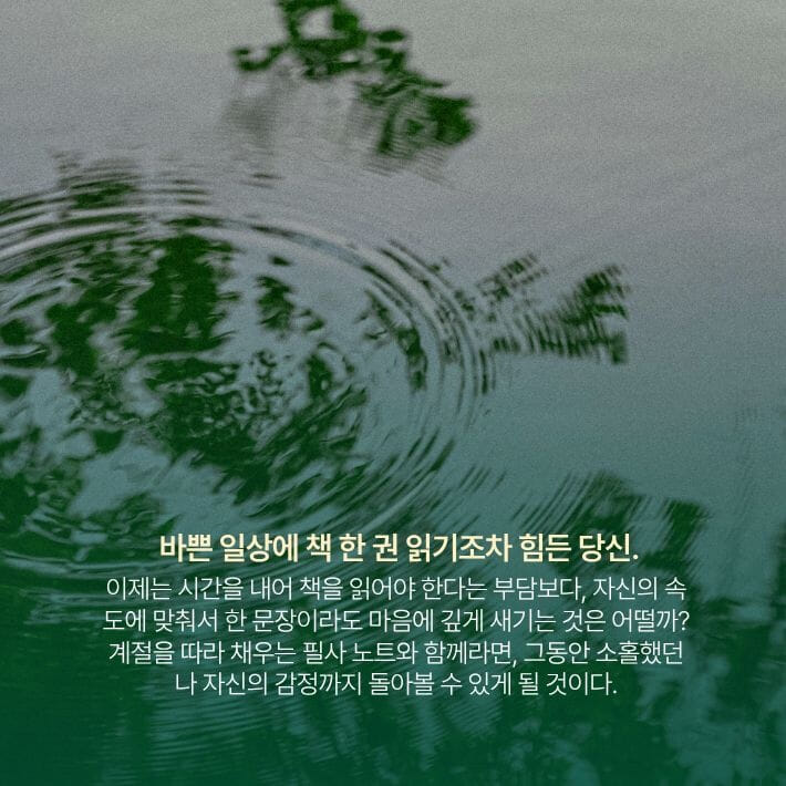 카드뉴스2