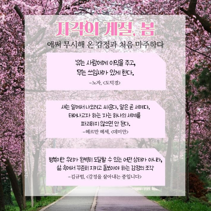 카드뉴스3