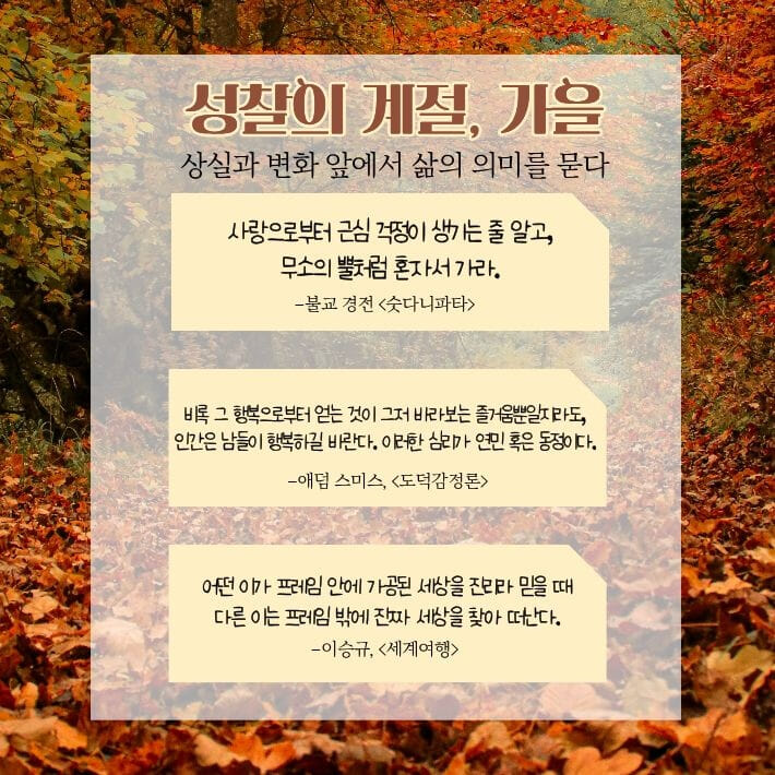 카드뉴스5