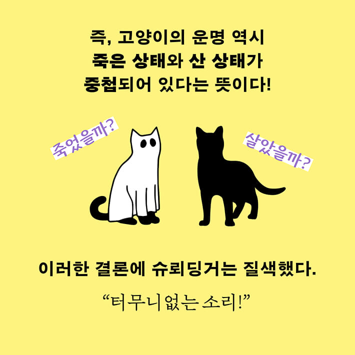 카드뉴스5