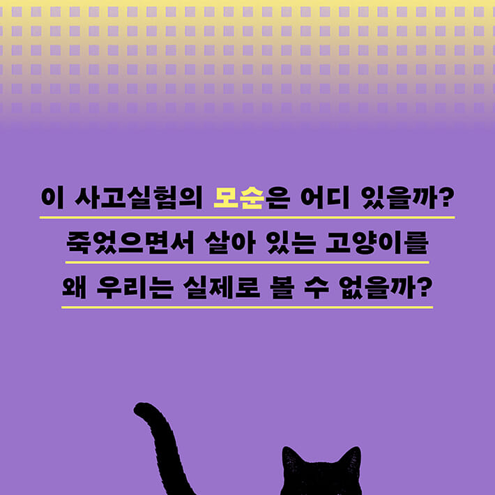 카드뉴스9
