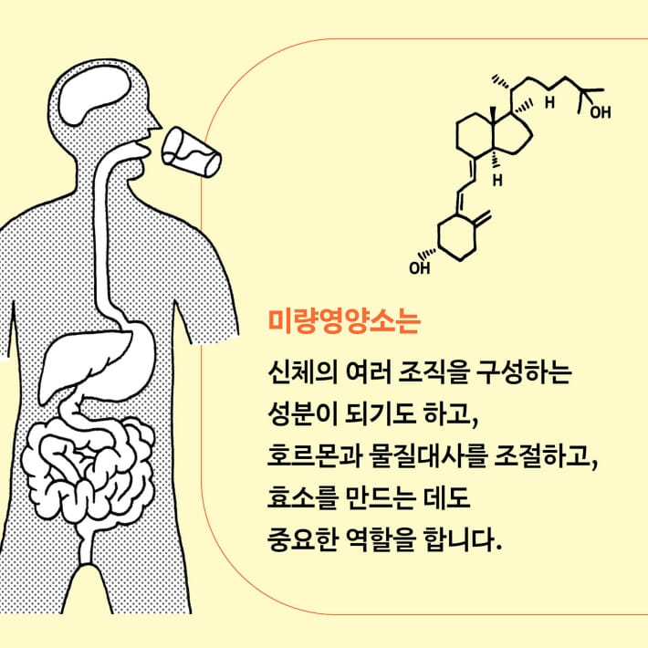 카드뉴스4