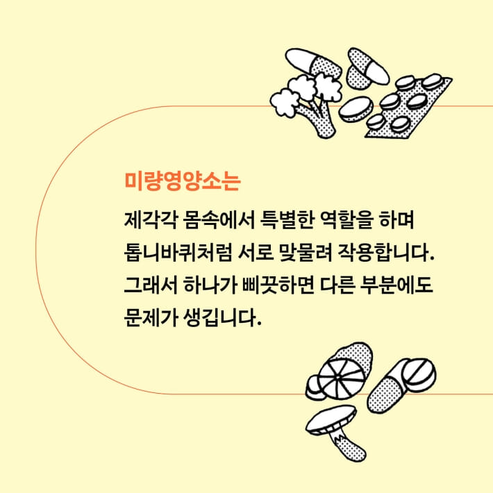 카드뉴스5