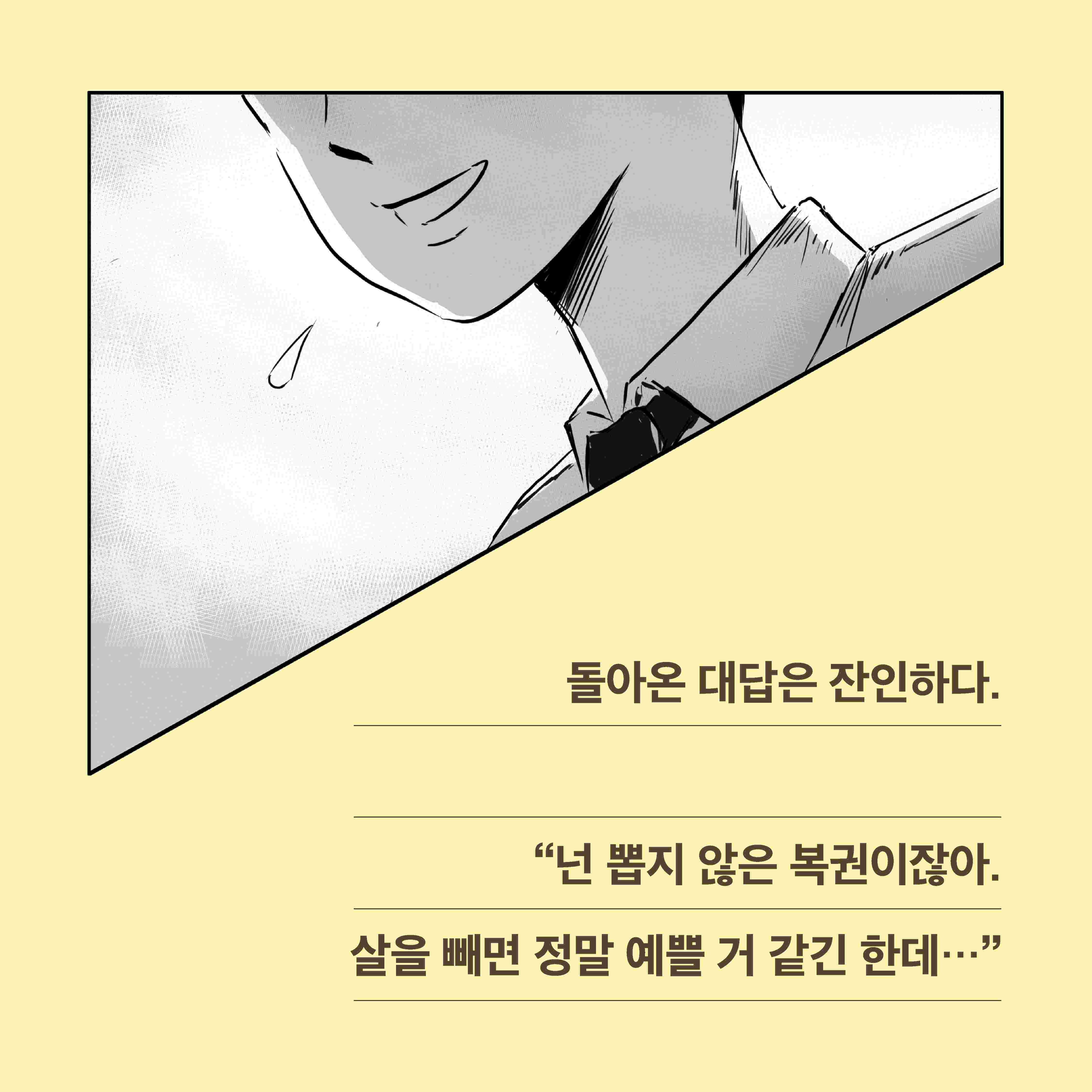 카드뉴스