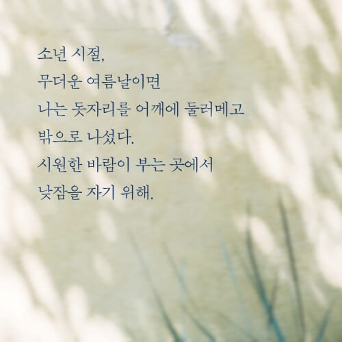 카드뉴스3