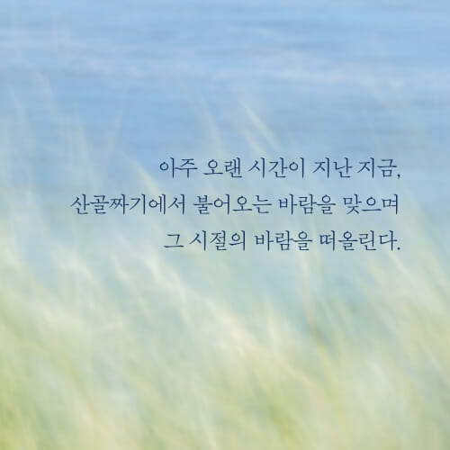 카드뉴스5