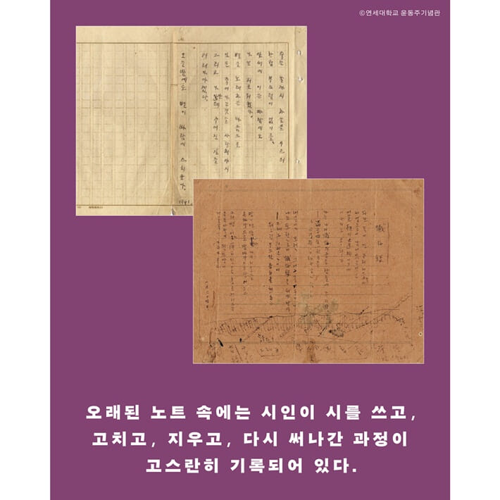 카드뉴스3