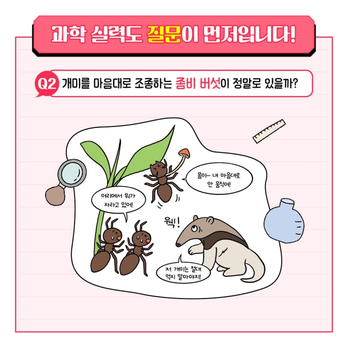 카드뉴스2