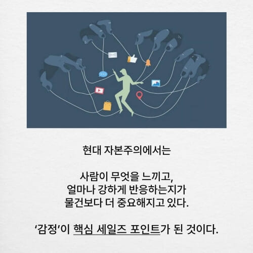 카드뉴스5