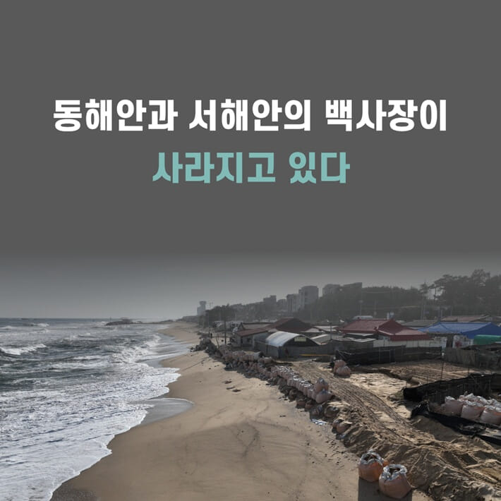 카드뉴스1