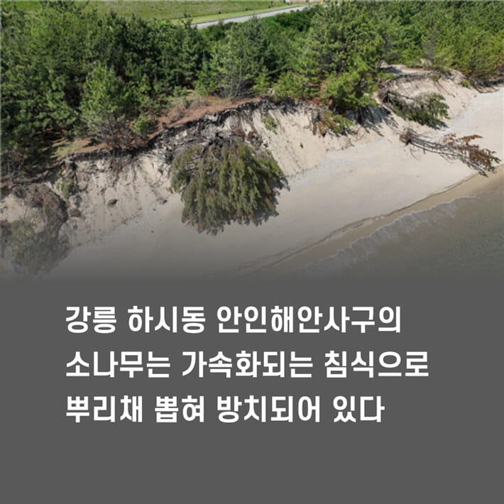 카드뉴스4